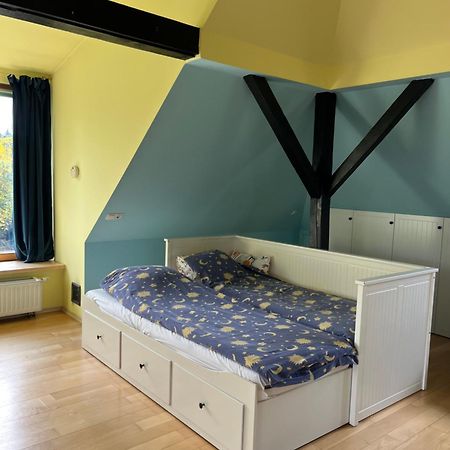 Dom Z Ogrodem Blisko Centrum Poznań Exteriör bild