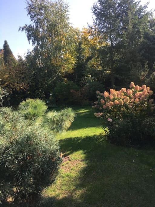 Dom Z Ogrodem Blisko Centrum Poznań Exteriör bild